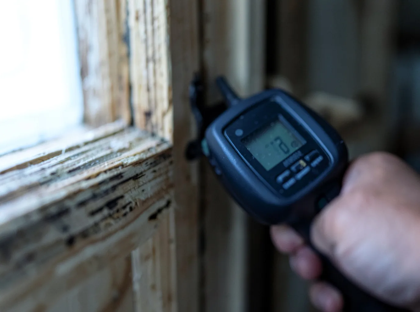 Moisture Inspection And Documentation in Forest Park, IL